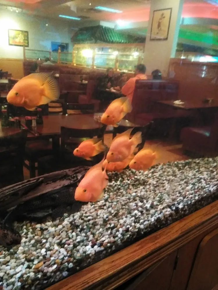 Gigantic Fish Tank for Your Entertainment